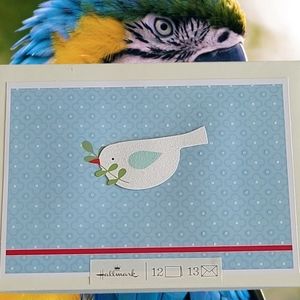 HALLMARK 12 HOLIDAY CARDS